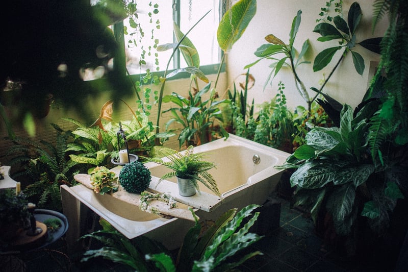 Indoor Plant Walls