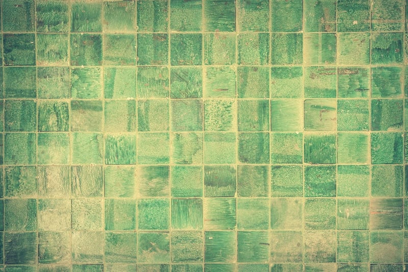 Indoor Plant Wall